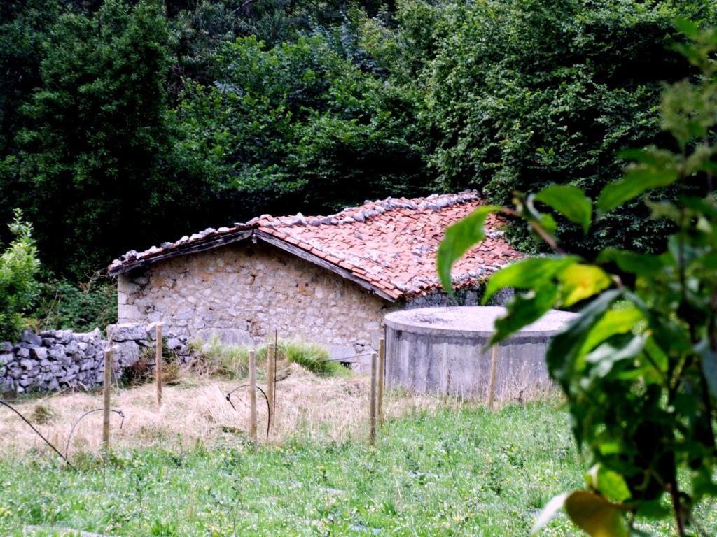 Foto de Angustina (Cantabria), España