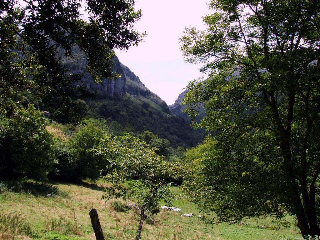 Foto de Angustina (Cantabria), España