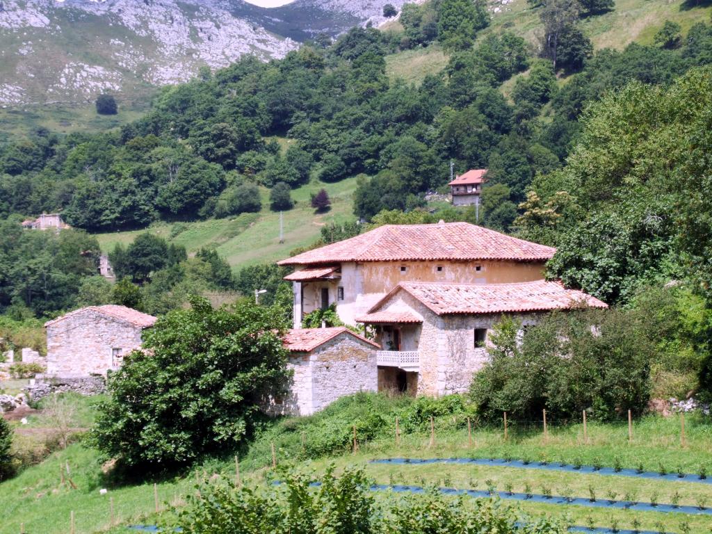 Foto de Angustina (Cantabria), España