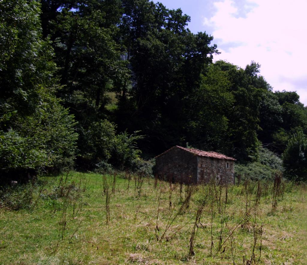 Foto de Angustina (Cantabria), España