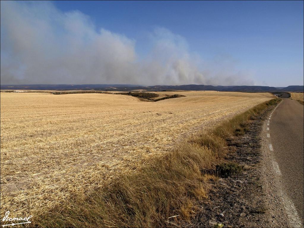 Foto de Sagides (Soria), España