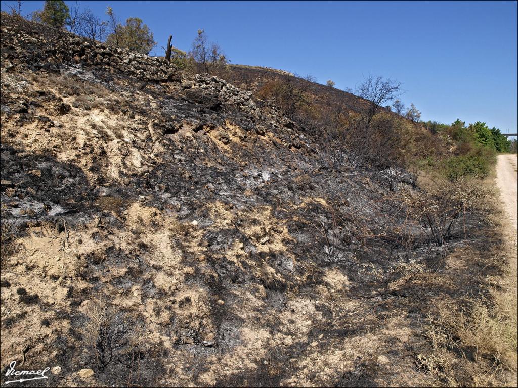 Foto de Urex de Medinaceli (Soria), España