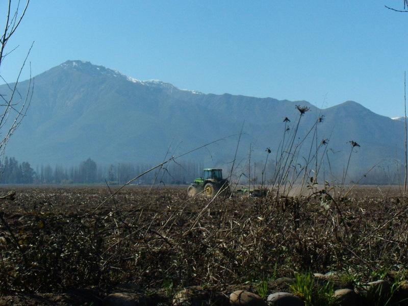 Foto de Pirque, Chile