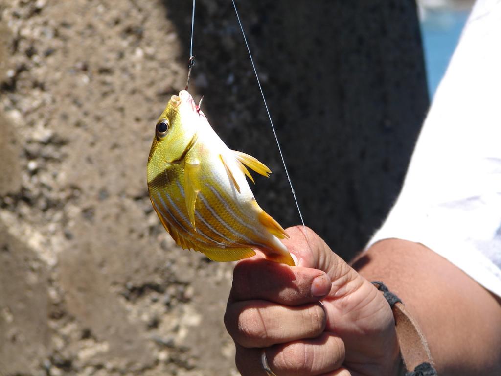 Foto de Puntarenas, Costa Rica