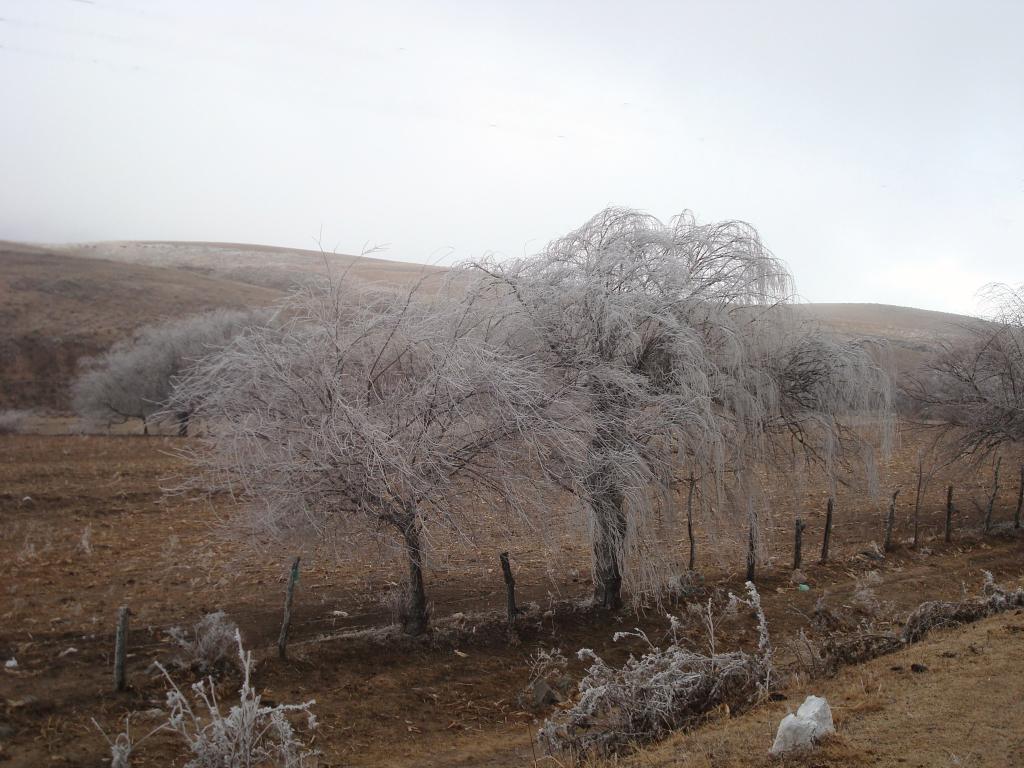 Foto de Tafi del Valle, Argentina