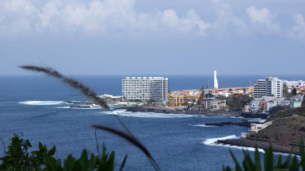 Foto de Punta del Hidalgo (La Laguna) (Santa Cruz de Tenerife), España