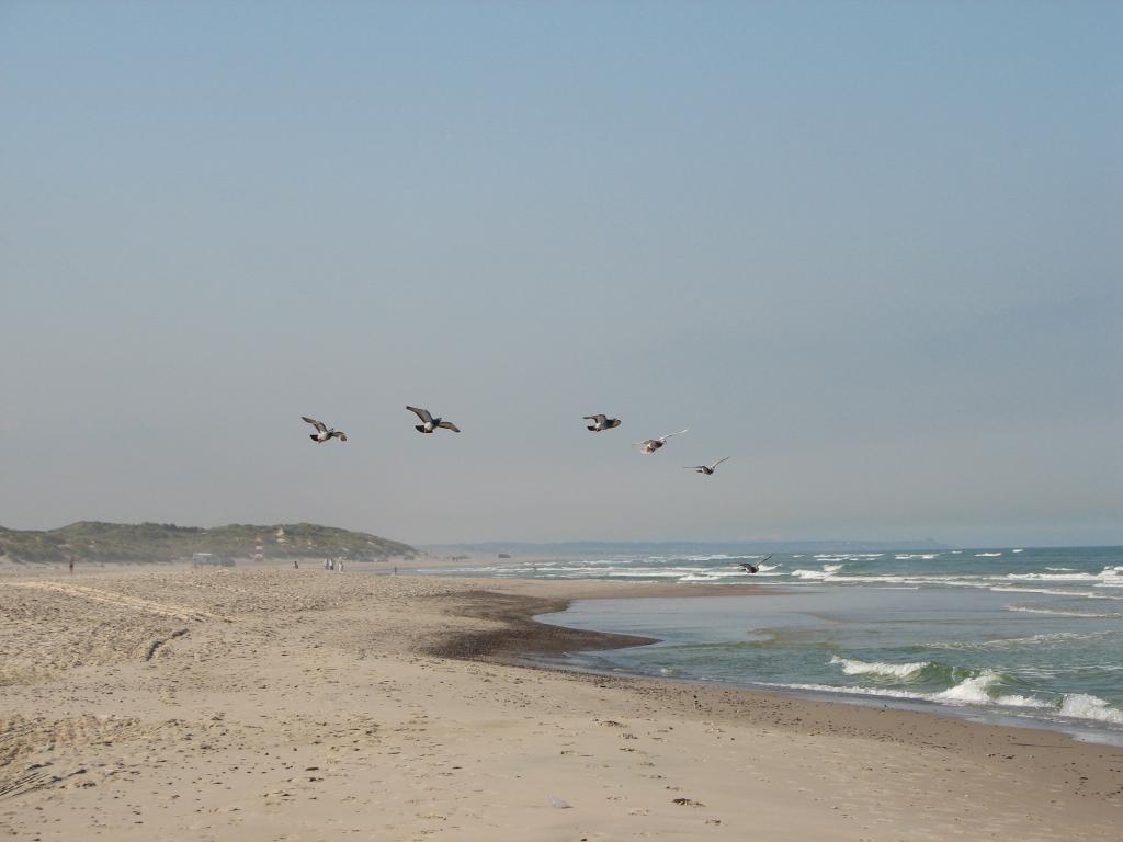 Foto de Hirtshals, Dinamarca