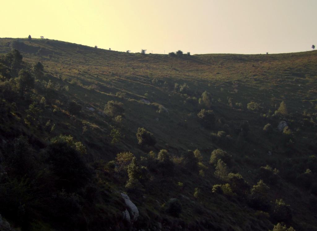 Foto de Ason (Cantabria), España