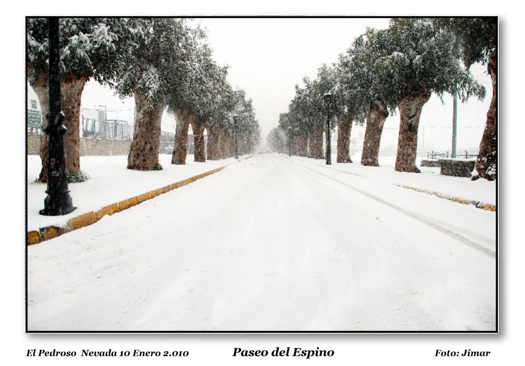 Foto de El Pedroso (Sevilla), España