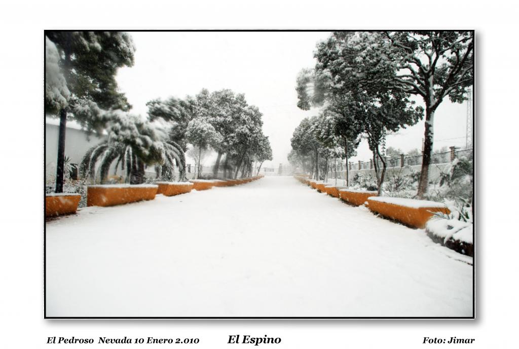 Foto de El Pedroso (Sevilla), España