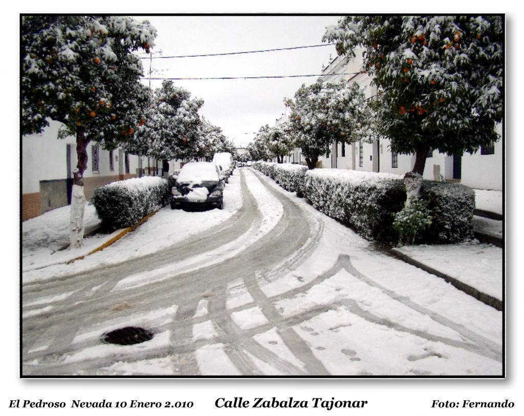 Foto de El Pedroso (Sevilla), España