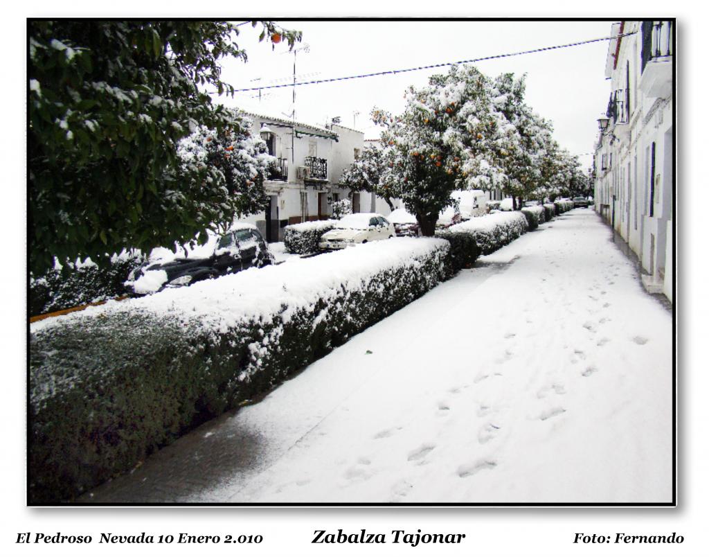 Foto de El Pedroso (Sevilla), España