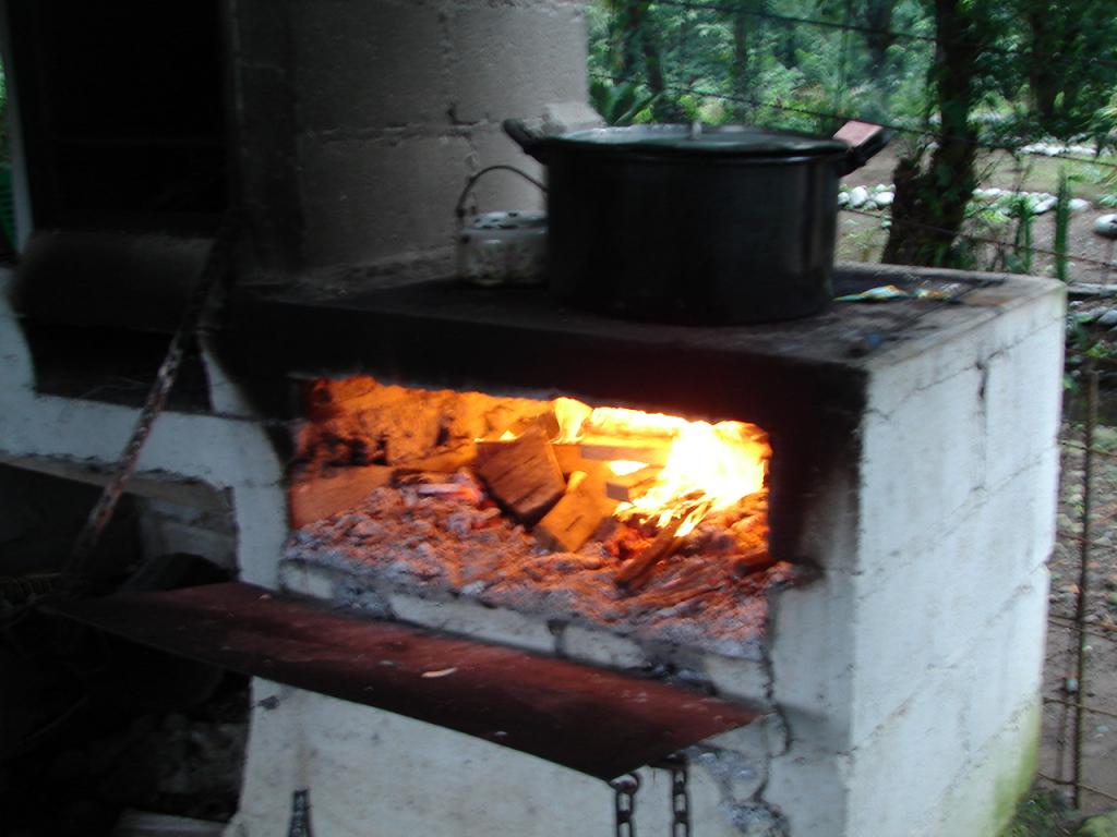 Foto de Limon (Guacimo), Costa Rica