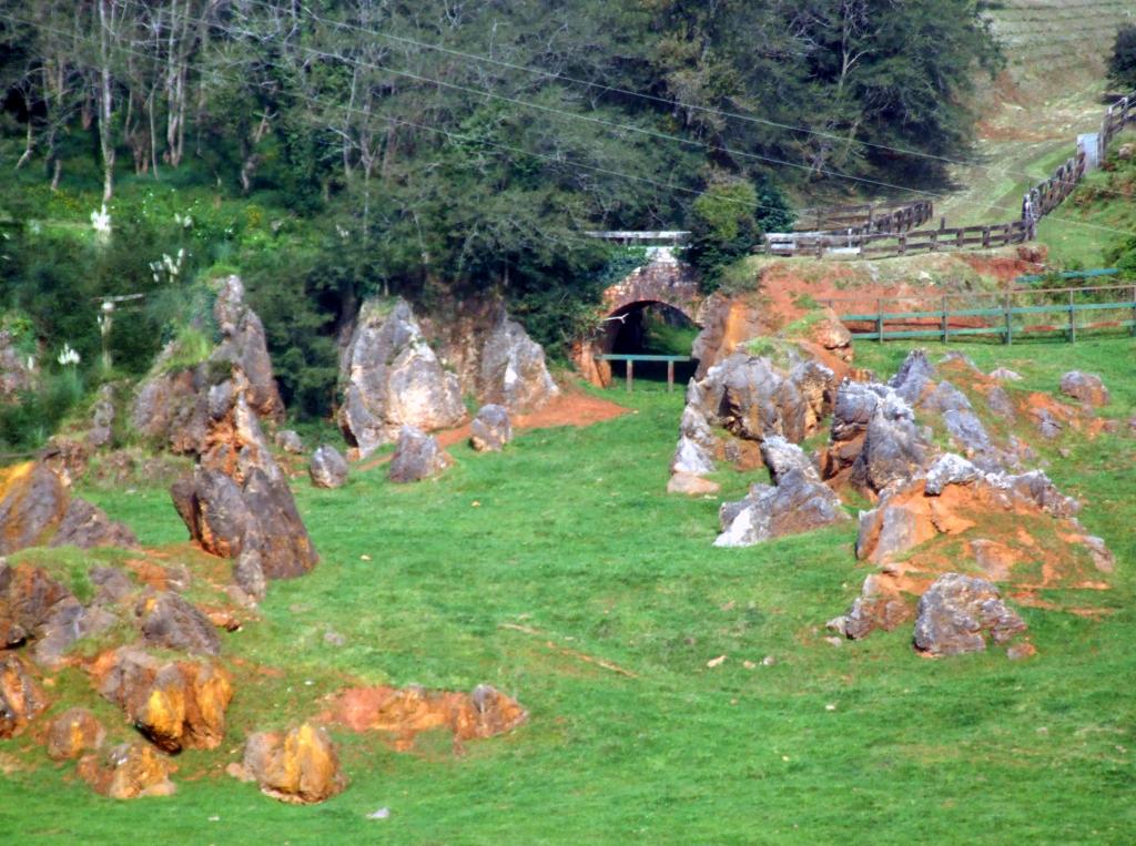 Foto de Cabarceno (Cantabria), España