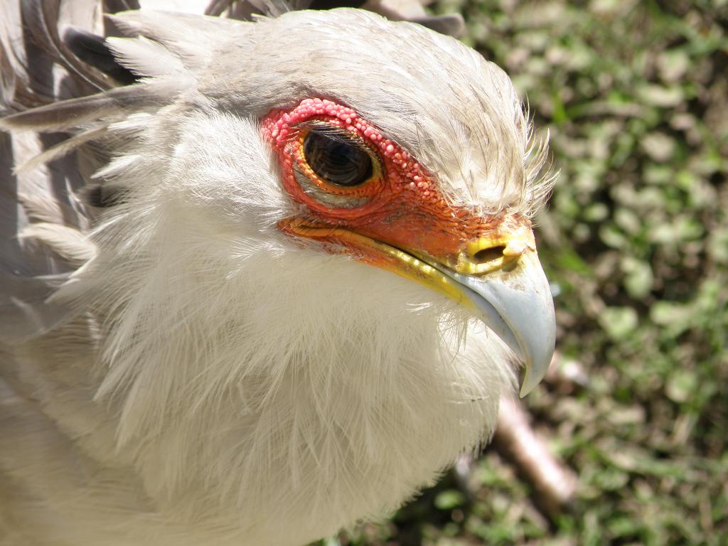 Foto de Belén de Escobar (Buenos Aires), Argentina