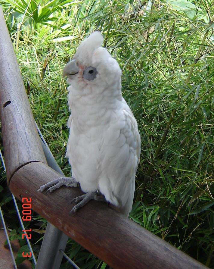 Foto de Belén de Escobar (Buenos Aires), Argentina