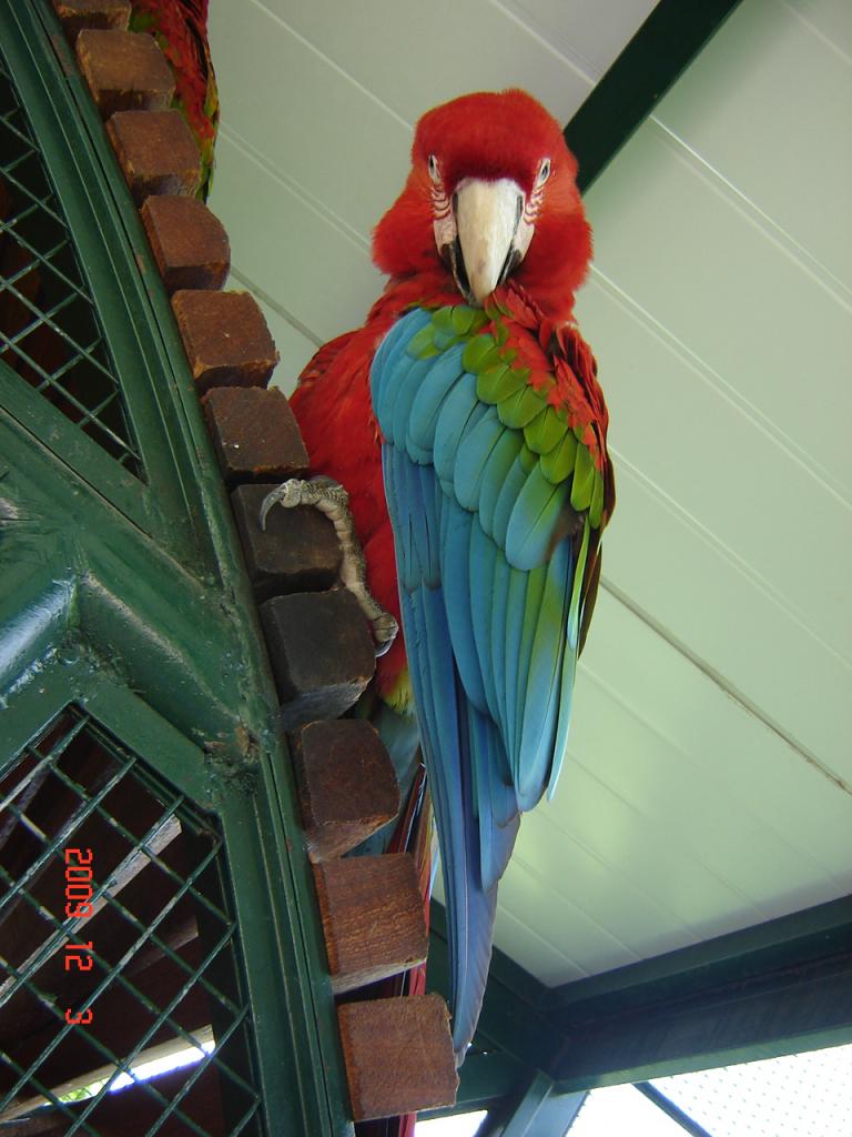 Foto de Belén de Escobar (Buenos Aires), Argentina