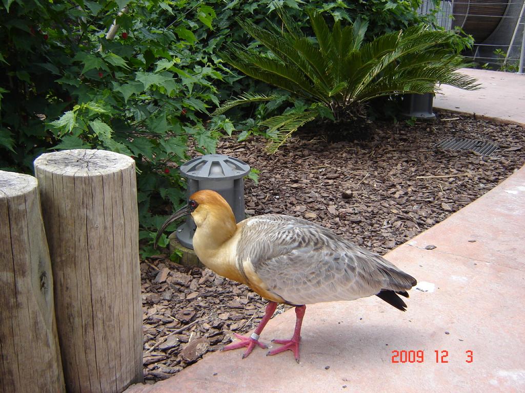 Foto de Belén de Escobar (Buenos Aires), Argentina