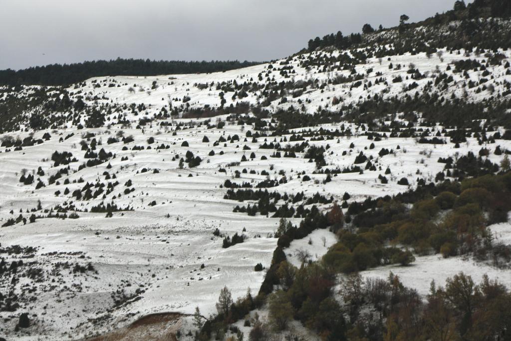 Foto de Villarroya de los Pinares (Teruel), España