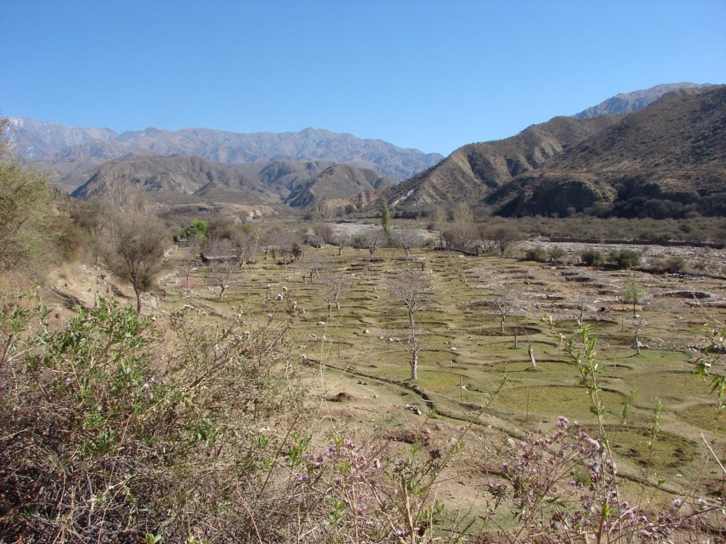 Foto de Chilecito, Argentina