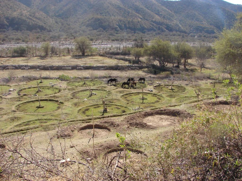 Foto de Chilecito, Argentina