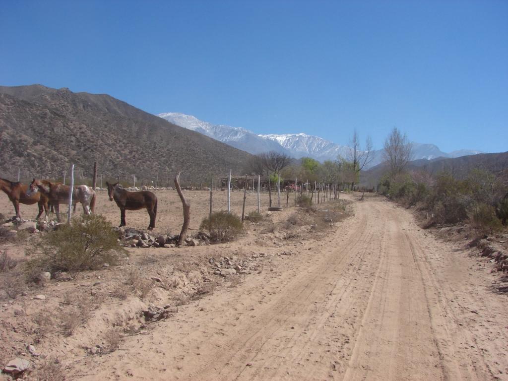 Foto de Chilecito, Argentina