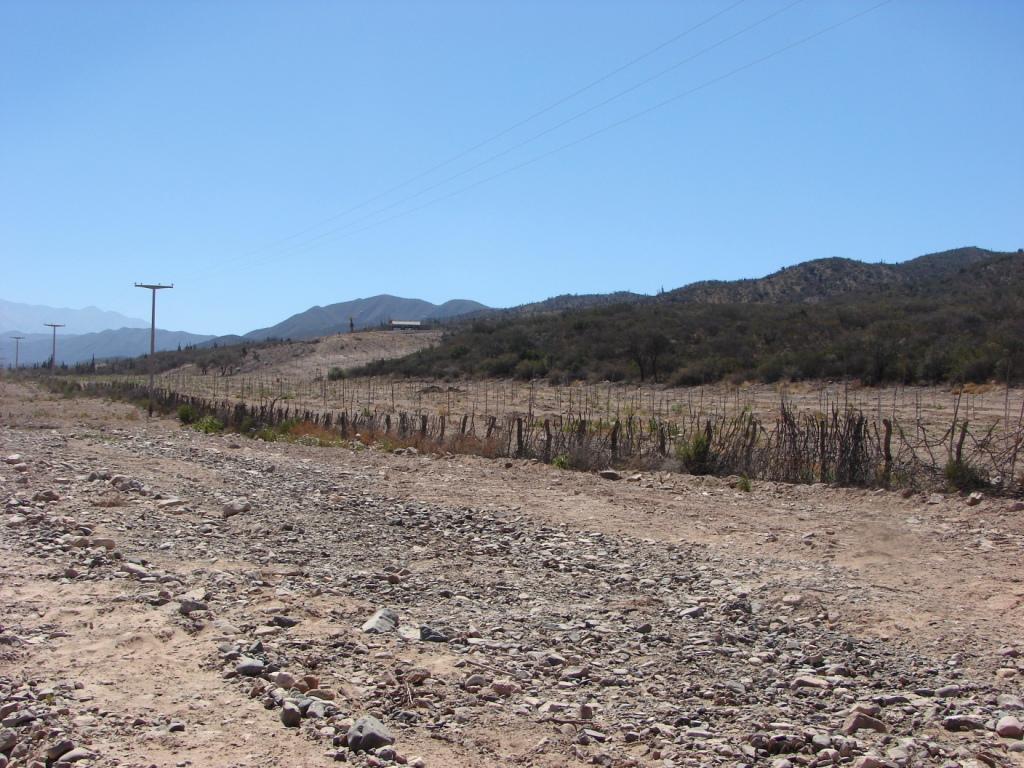 Foto de Guanchin, Argentina