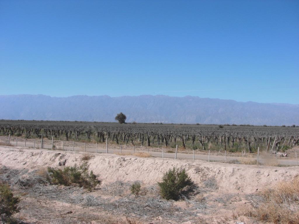 Foto de Chilecito, Argentina