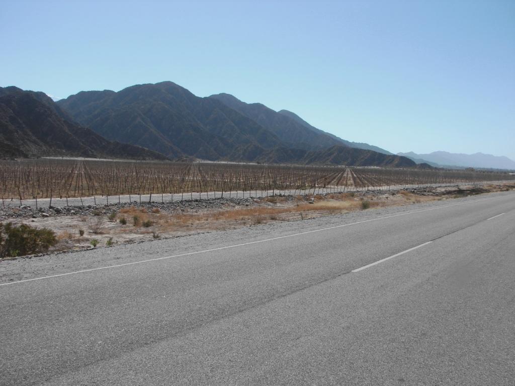 Foto de Chilecito, Argentina