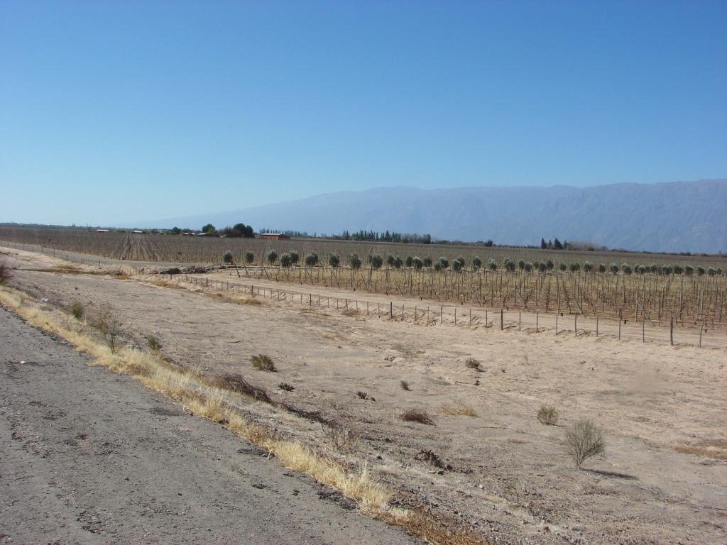 Foto de Chilecito, Argentina