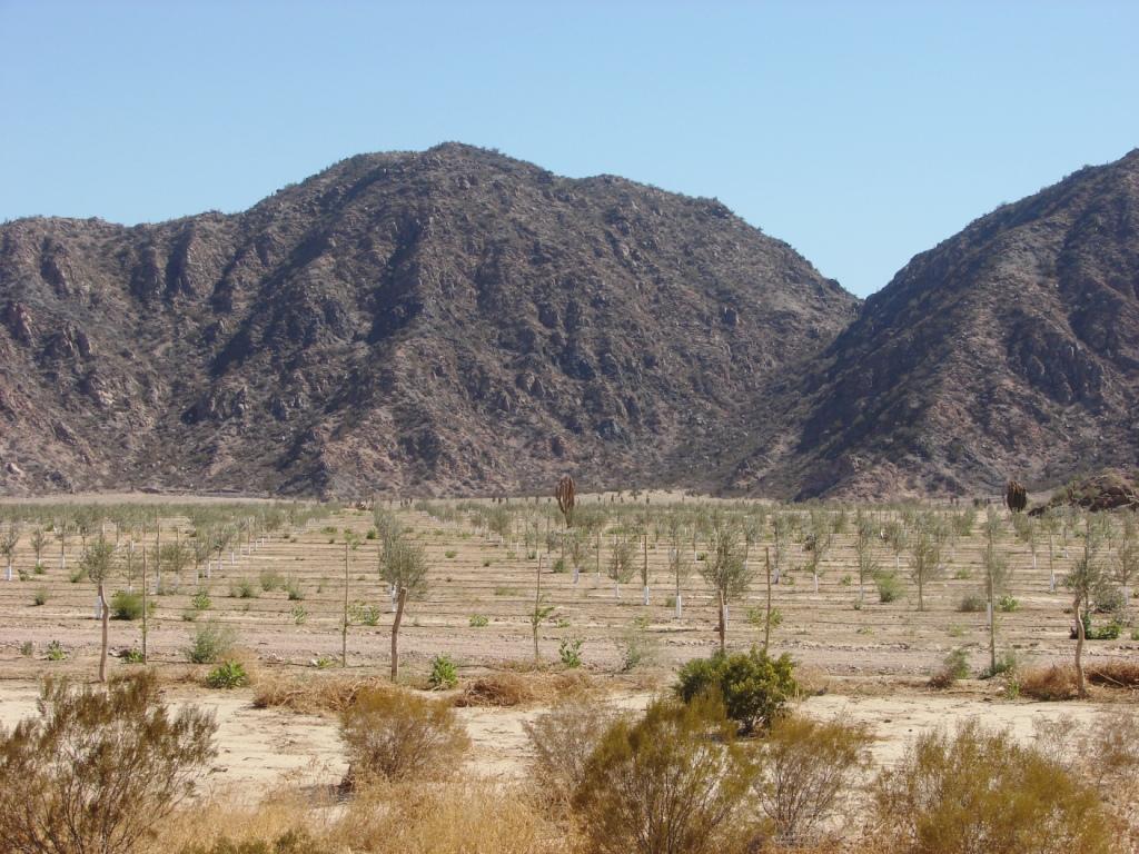 Foto de Chilecito, Argentina