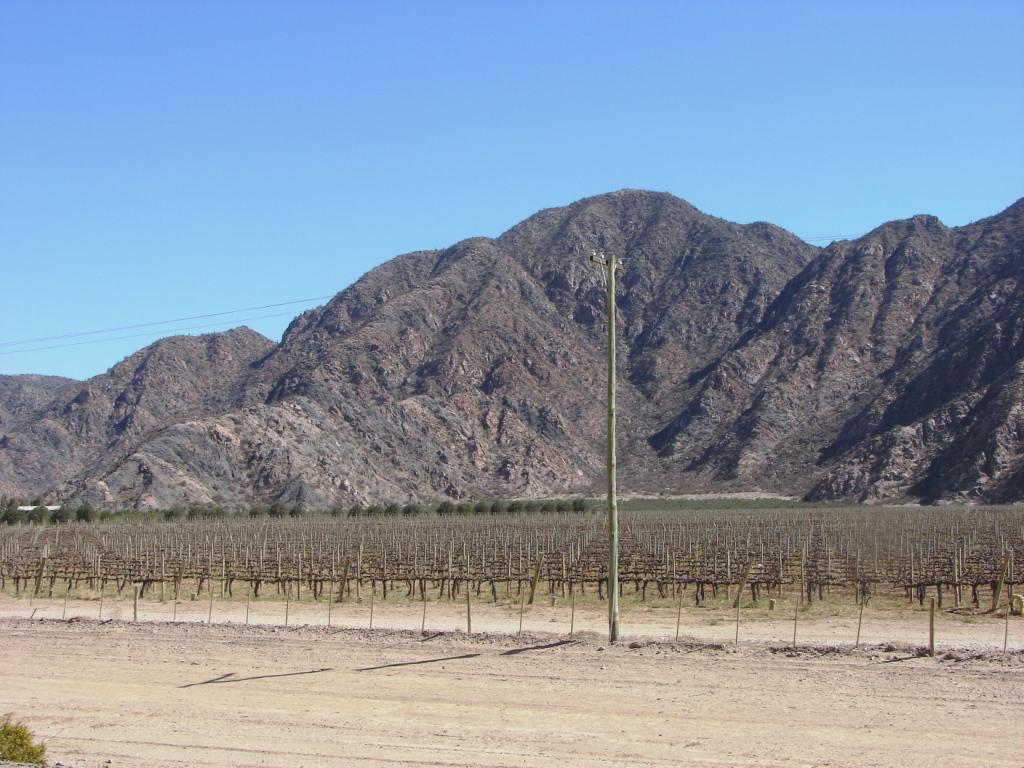 Foto de Chilecito, Argentina