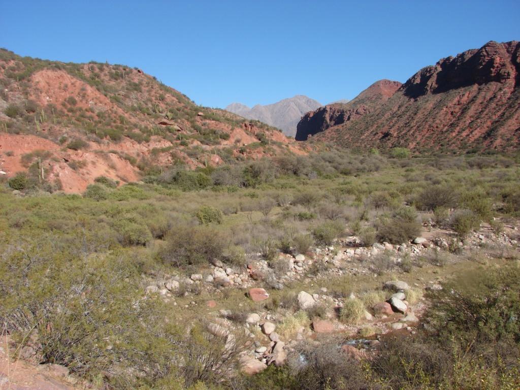 Foto de Sañogasta, Argentina