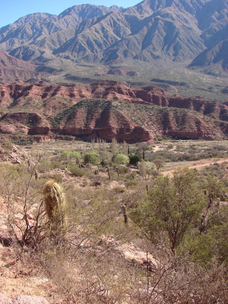 Foto de Sañogasta, Argentina