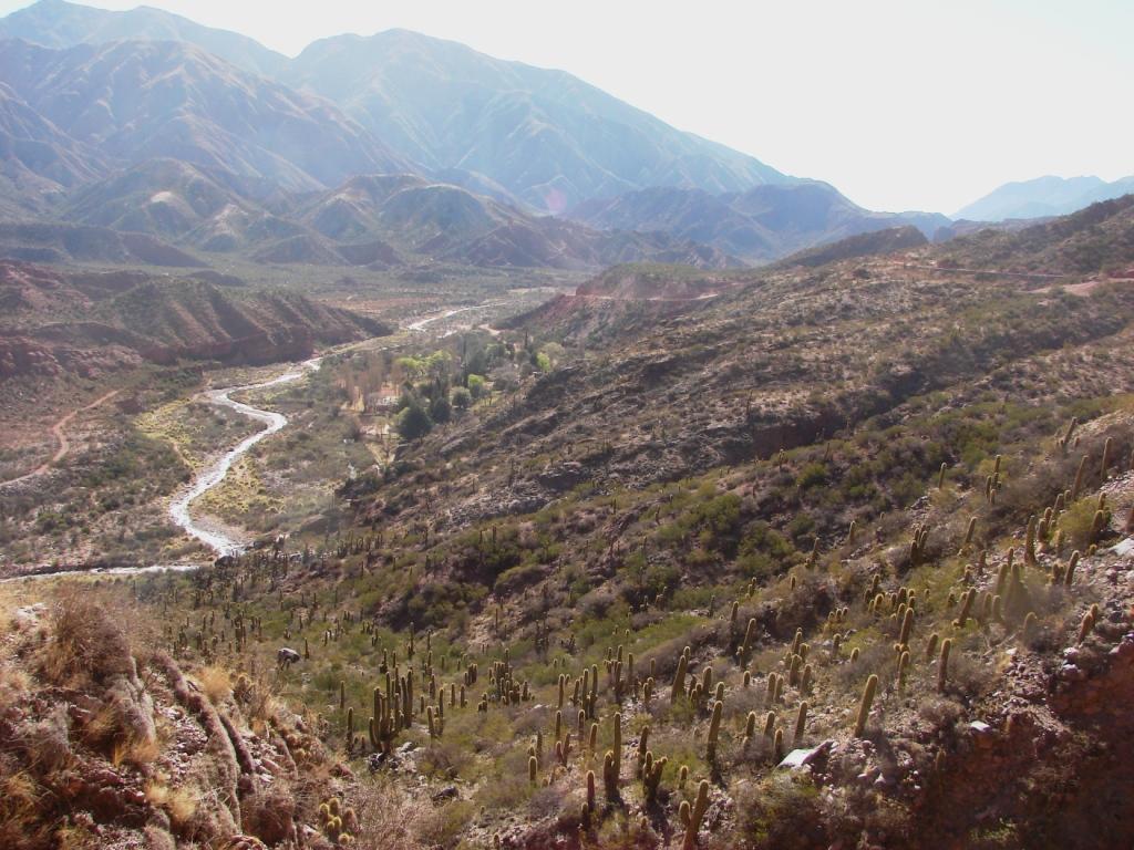 Foto de Sañogasta, Argentina