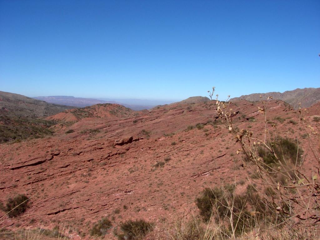 Foto de Miranda, Argentina