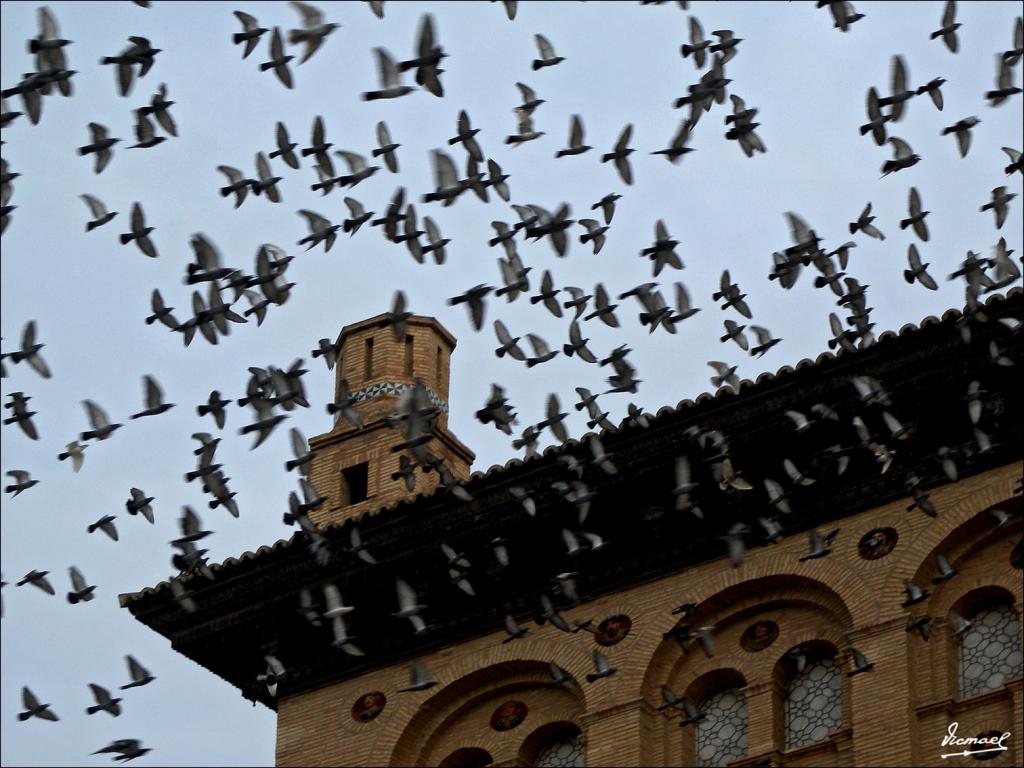 Foto de Zaragoza (Aragón), España