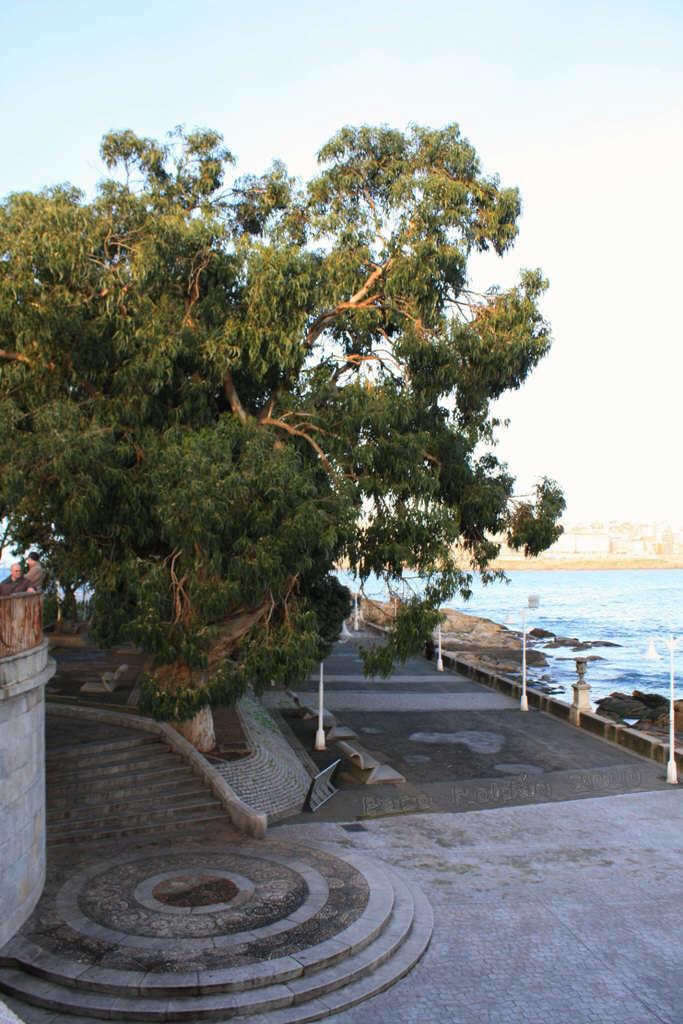 Foto de A Coruña (Galicia), España