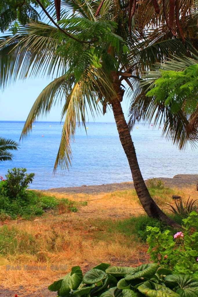 Foto de La Gomera (Santa Cruz de Tenerife), España