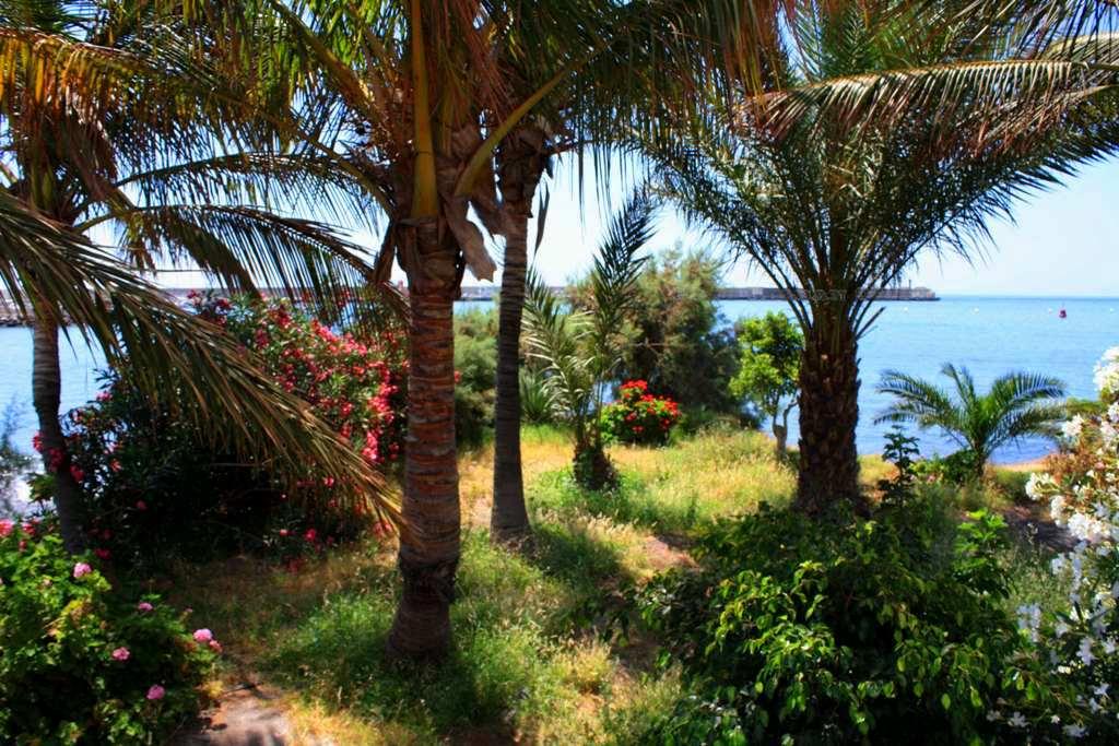 Foto de La Gomera (Santa Cruz de Tenerife), España