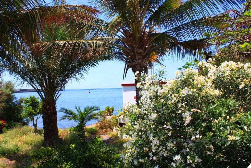 Foto de La Gomera (Santa Cruz de Tenerife), España