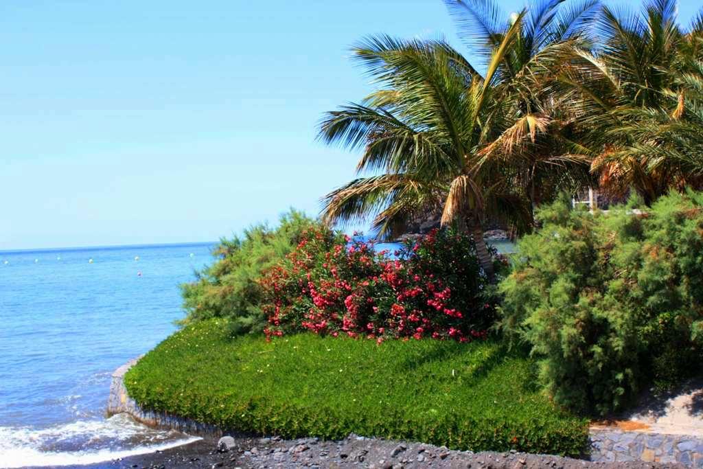 Foto de La Gomera (Santa Cruz de Tenerife), España