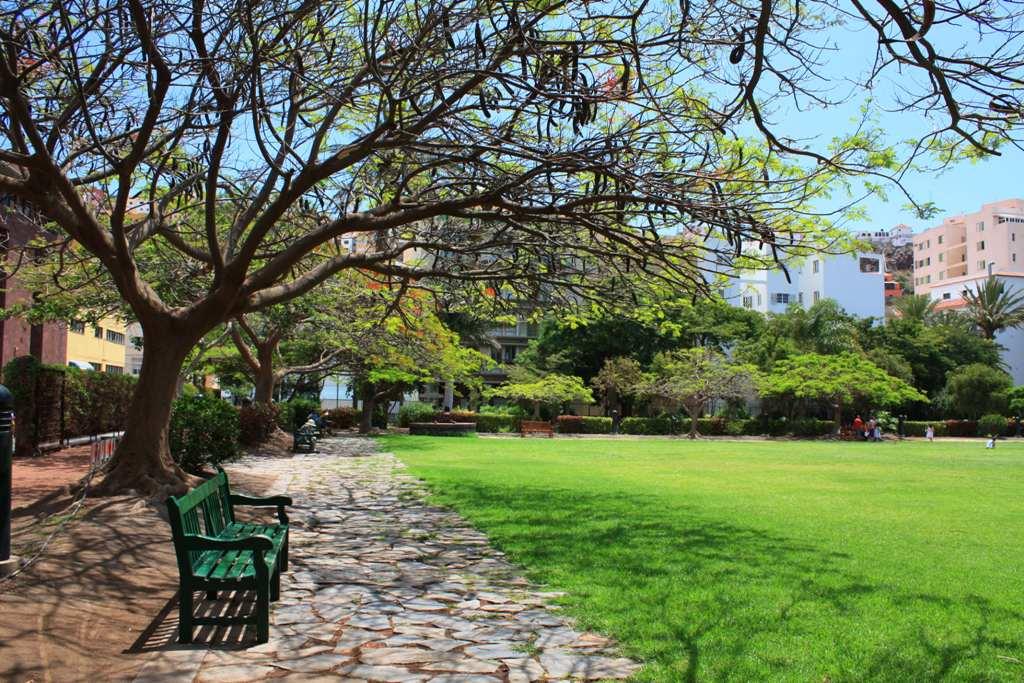 Foto de La Gomera (Santa Cruz de Tenerife), España