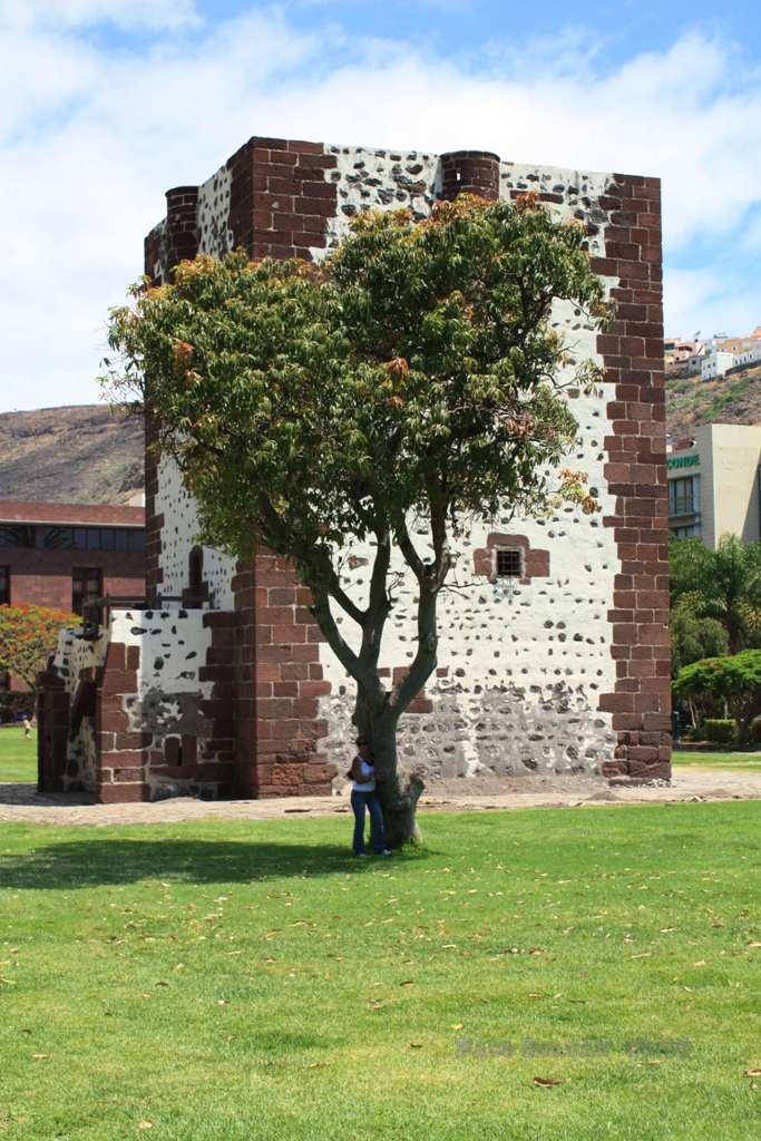 Foto de La Gomera (Santa Cruz de Tenerife), España