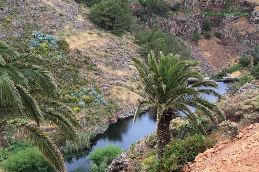 Foto de La Gomera (Santa Cruz de Tenerife), España