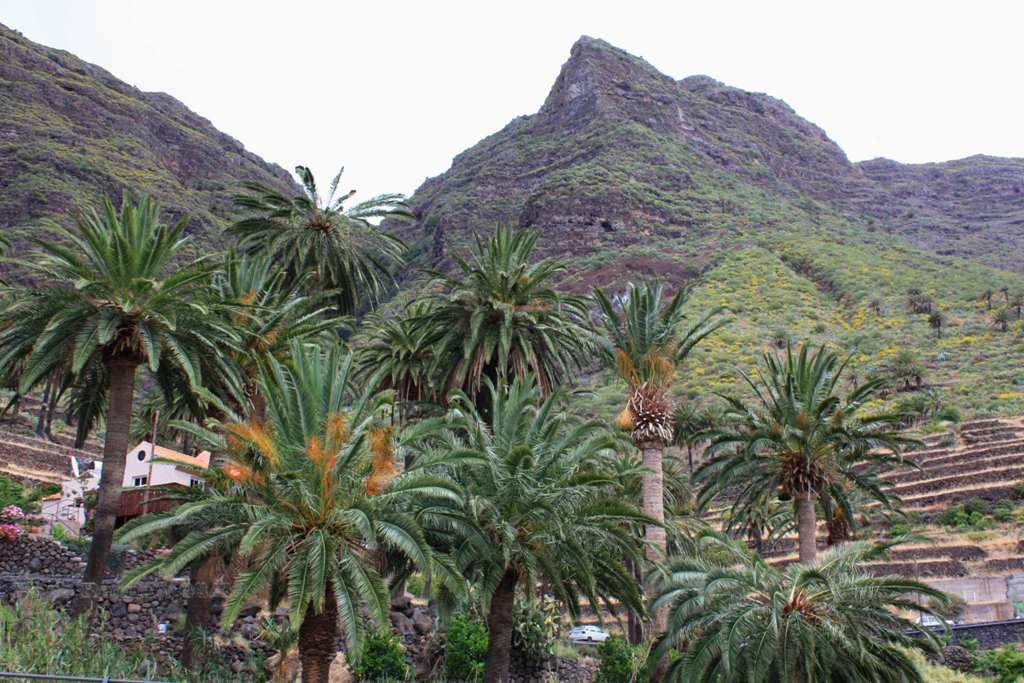 Foto de La Gomera (Santa Cruz de Tenerife), España