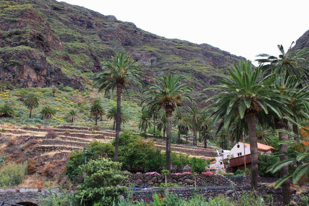 Foto de La Gomera (Santa Cruz de Tenerife), España