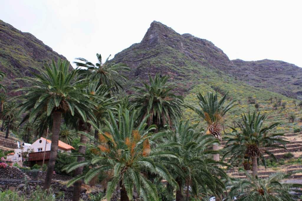 Foto de La Gomera (Santa Cruz de Tenerife), España