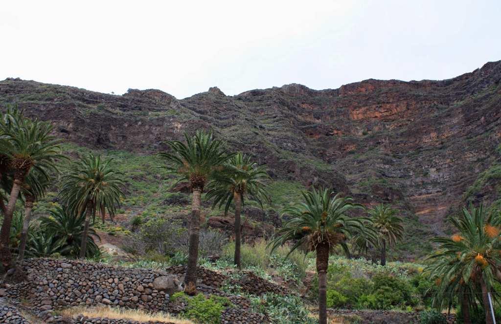 Foto de La Gomera (Santa Cruz de Tenerife), España