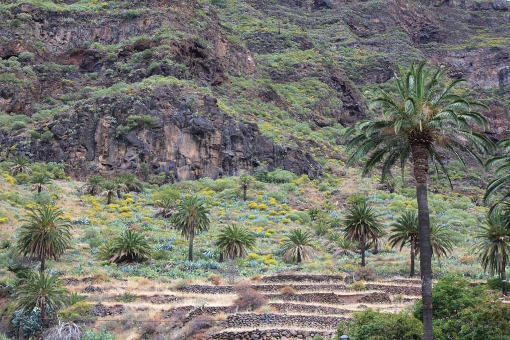 Foto de La Gomera (Santa Cruz de Tenerife), España